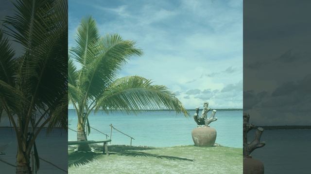 Groovy West Indian Steel Drum Music - Vibe for Aruba смотреть онлайн