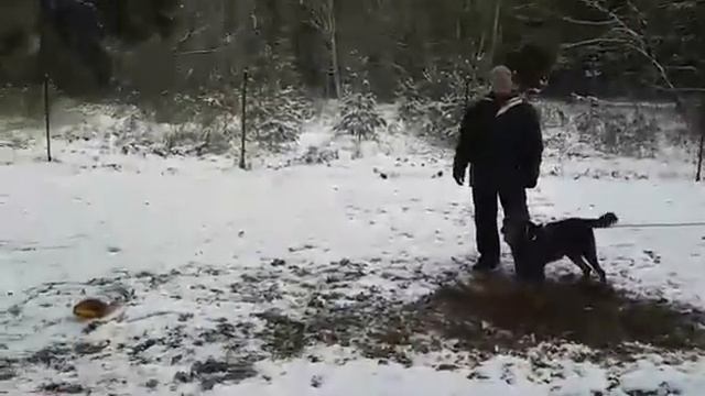 босерон защита