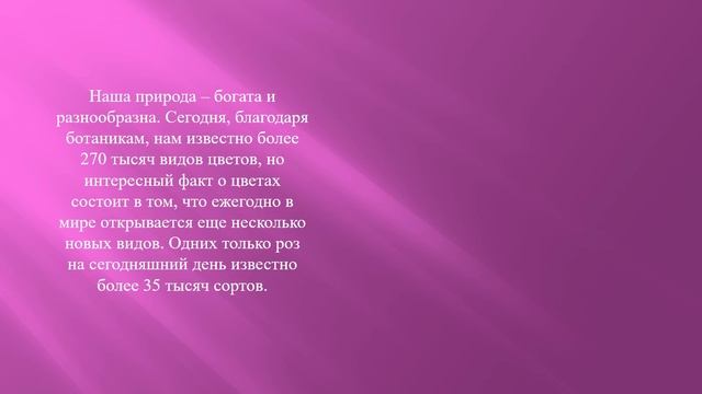Виртуальная книжная выставка «Все о цветах в саду и доме» смотреть онлайн