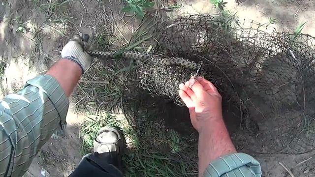 4. Змей в садке. И чё теперь? смотреть онлайн