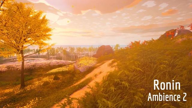 Ambience 2 for Ronin: Two Souls One Body смотреть онлайн