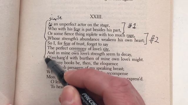 Shakespeare's Sonnet 23: Analysis смотреть онлайн