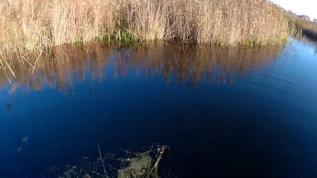 Рыбалка в ноябре на щуку с Strike Pro Montero 110 SP смотреть онлайн