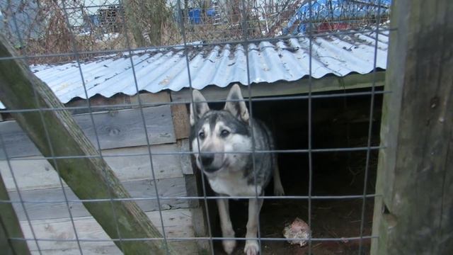 Злату не загнать домой смотреть онлайн
