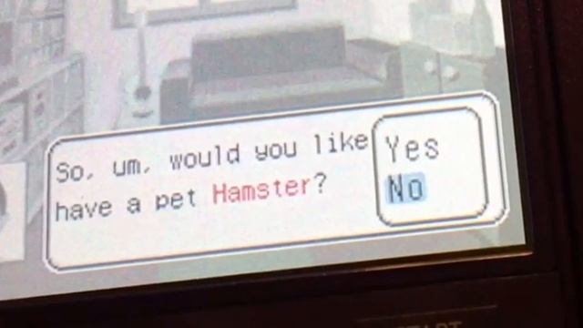Petz Hamsterz 2 Game Play and Review смотреть онлайн