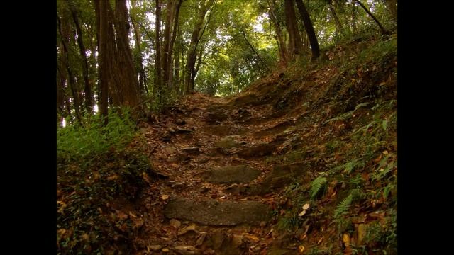 RICOH PENTAX XG 1 wide world смотреть онлайн