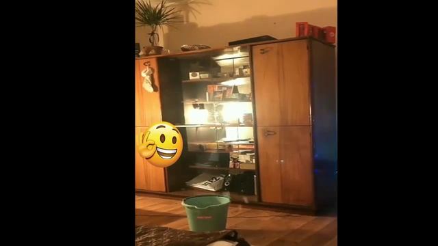прыжки в воду с большой высоты. смотреть онлайн