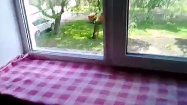 Как обустроить подоконник??? смотреть онлайн