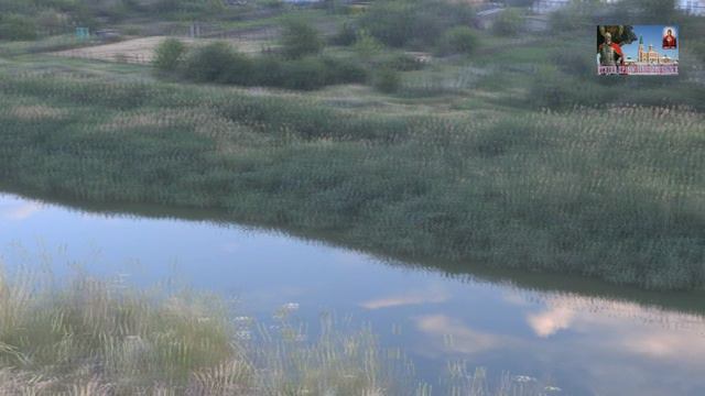 Васильева Елена - Степное (авт. А. и О.Резниченко) смотреть онлайн