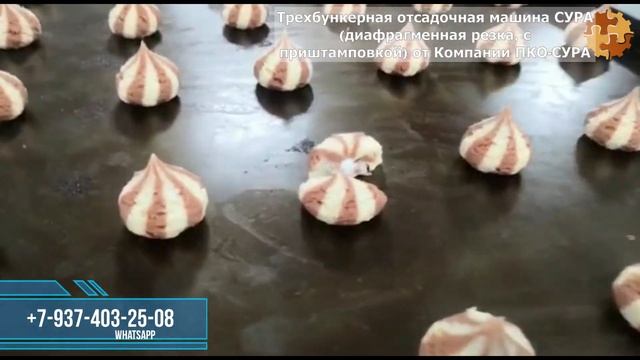 Трехбункерная Отсадочная машина СУРА (производство печенья, эклеров, зефира ...)