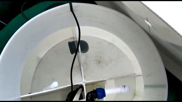 СГБО ПЕГАС ОБЗОР смотреть онлайн