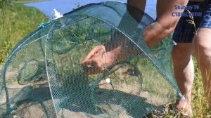 Рыбалка на фидор,поплавок и раколовку зонт в Рупасовском пруду.Снасть убийца карасей