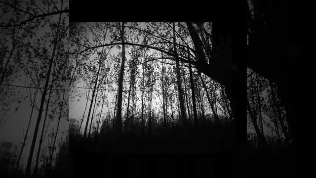 AZAM ALİ VAR GİT ÖLÜM смотреть онлайн