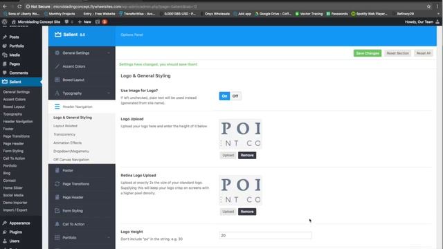 How to Update Your Logo Using Salient смотреть онлайн
