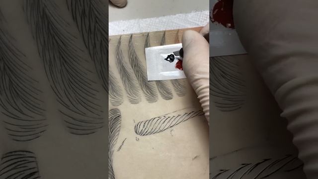 Brows Pattern with S-curve смотреть онлайн