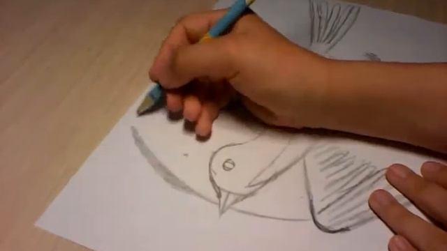 Как нарисовать красивую птицу смотреть онлайн