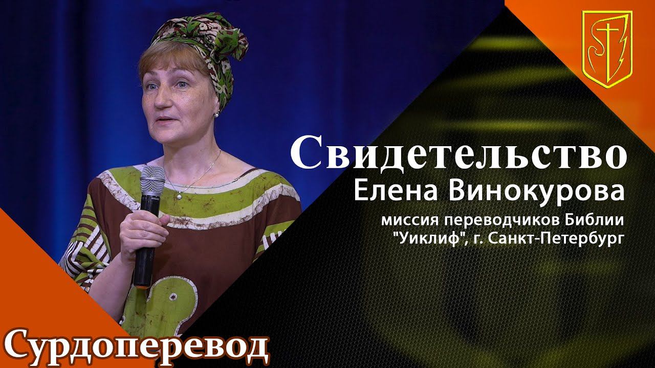 Елена Винокурова | Свидетельство смотреть онлайн