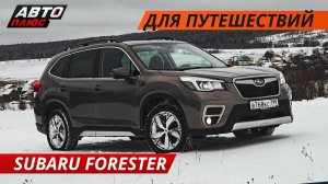 Что по динамике, комфорту и безопасности? Subaru Forester 2019 | Своими глазами