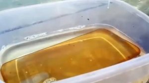 Как почистить силиконовый чехол от телефона и убрать желтизну