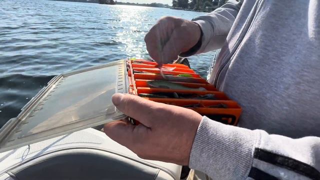 Стоит ли Переезжать в Штат Мичиган🚤Отдых на Озере смотреть онлайн