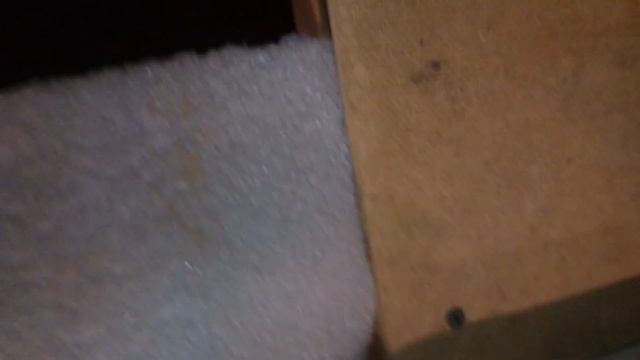 Нашим бройлерам сегодня 10 дней КОББ 500 смотреть онлайн