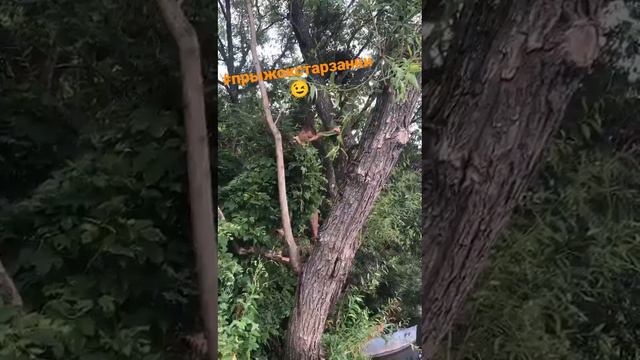 Отдых в Шилово. 1-8августа 2022г смотреть онлайн