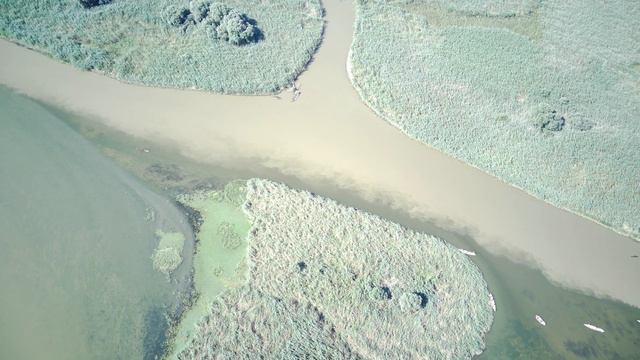 Дельта Волги - Окуневое место смотреть онлайн