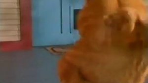 танец кота Гарфилда