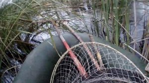 Август ставим мерёжи