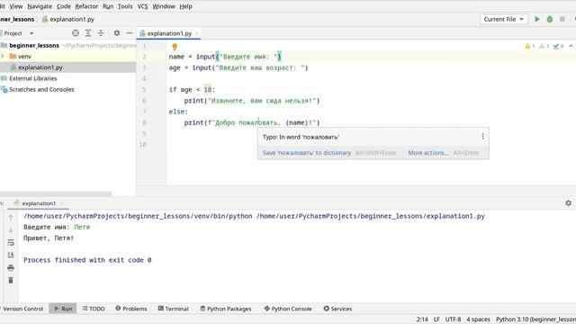 Переменные, условия и циклы | Погружение в программирование на Python - 1 смотреть онлайн