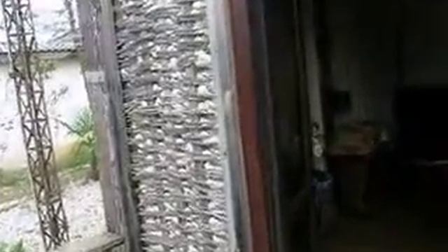 Абхазия Бамбора база отдыха Гудаута смотреть онлайн