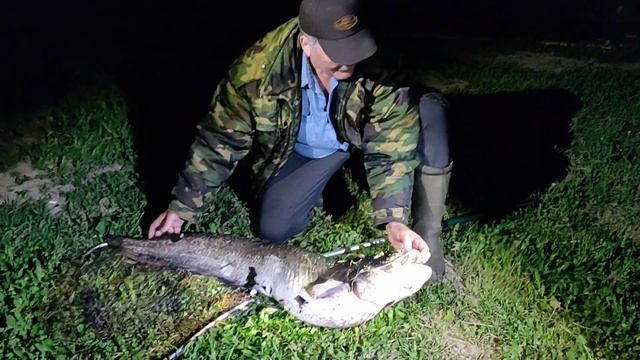 Сом на 10 кг. Пруд Пионерский смотреть онлайн