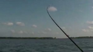 Троллинг на Рыбинском водохранилище