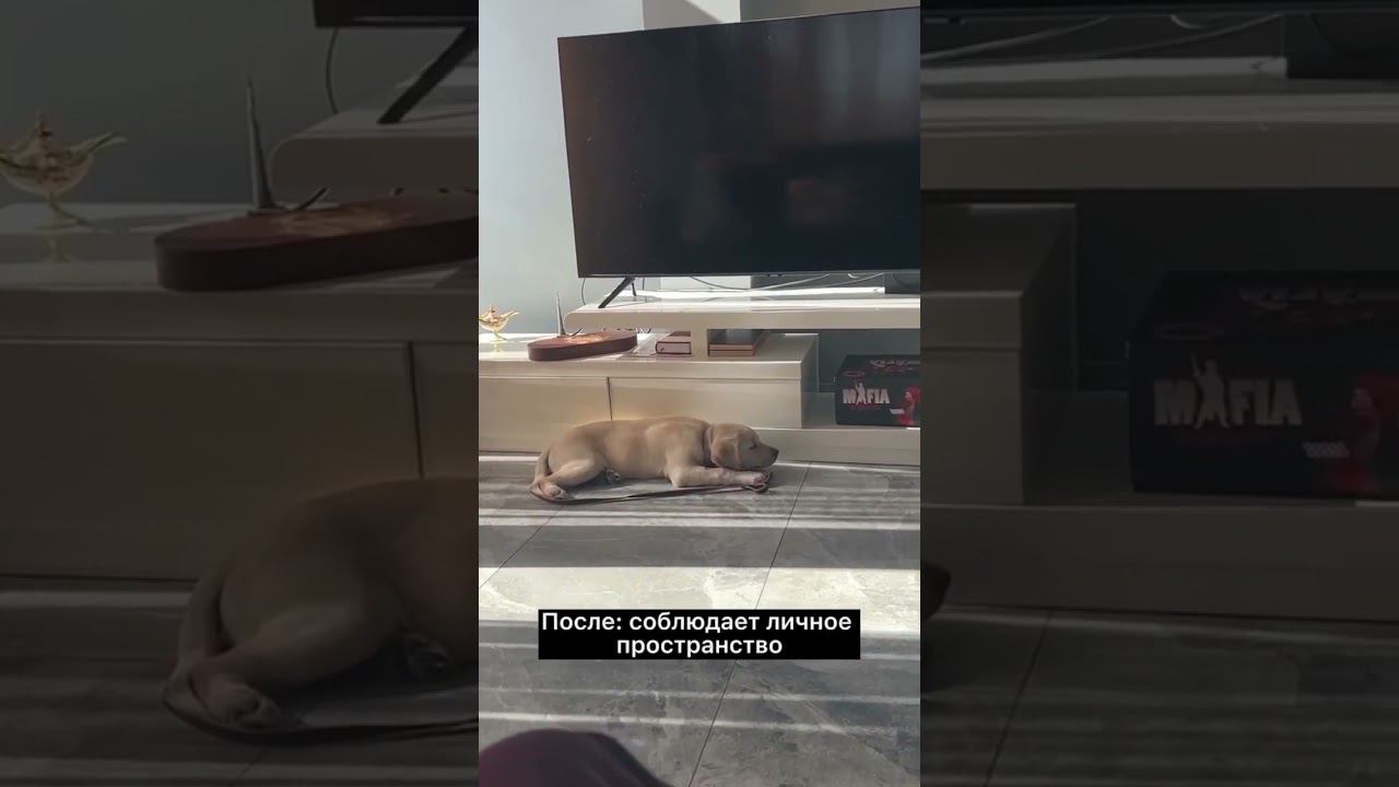 Личное пространство смотреть онлайн