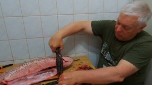 Белый Амур - улов, разделка