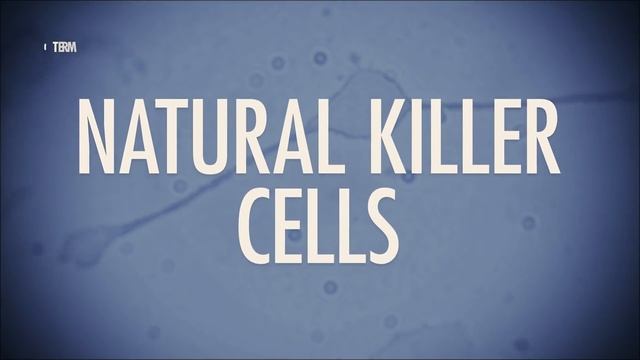 Immune System, Part 1: Crash Course Anatomy & Physiology #45 смотреть онлайн