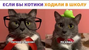 ЕСЛИ БЫ КОТИКИ ХОДИЛИ В ШКОЛУ - ВСЕ СЕРИИ (kotiynet)