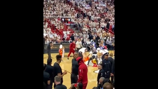 Conor McGregor knocks out Miami Heat mascot and sends him to hospital ? смотреть онлайн