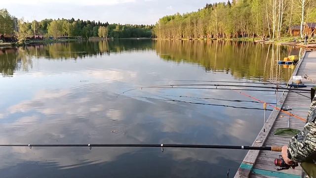 осетр смотреть онлайн