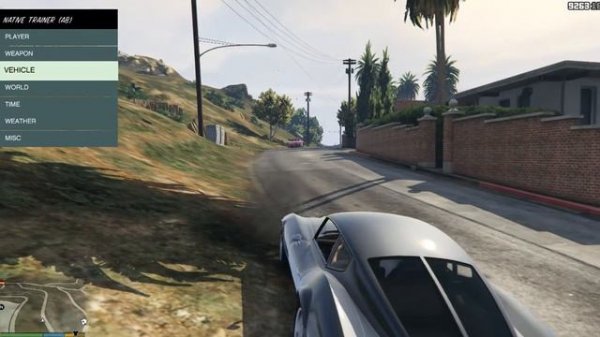 Разбираемся с Native Trainer для Gta 5