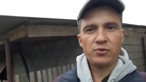 Топинамбур. Выращивание, посадка, хранение