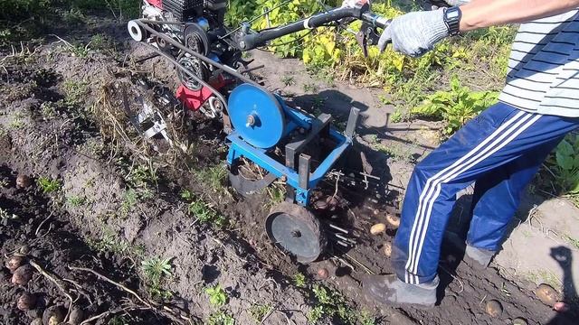Ковыряем картошку мотоблоком смотреть онлайн