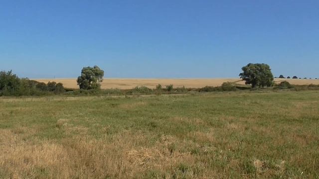 Большое село на старом тракте. Что можно тут найти? смотреть онлайн