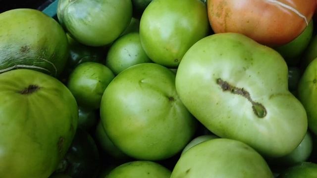 Итоги томатного сезона.  Какие  сорта возьму с собой в сезон 2023