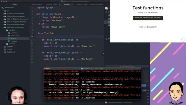 Python Zero to Hero - Ep.7 - Unit testing with Pytest смотреть онлайн