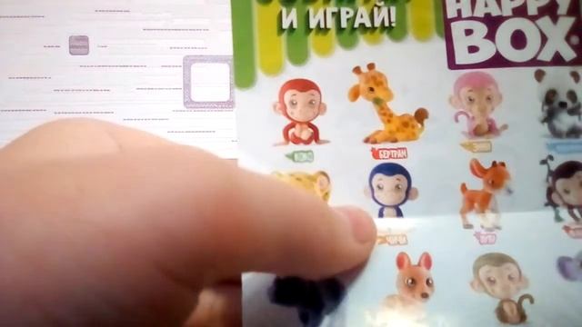 Happy Box Джунгли.