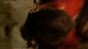 ЦВЕТОК И ПЛАМЯ ИНДИЯ