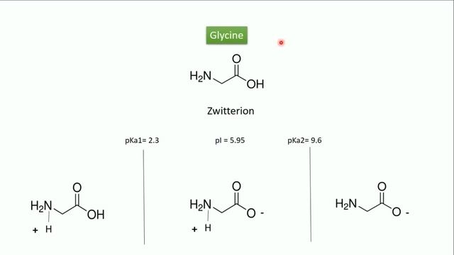 The principle of SDS PAGE-a full and clear explanation of the technique and how does it work смотреть онлайн