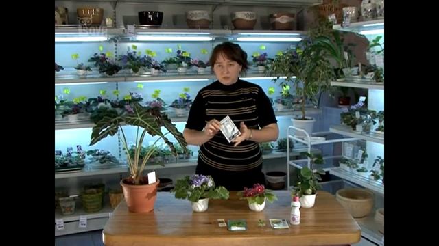 7_Защита от вредителей. Уход за комнатными растениями.Часть 4