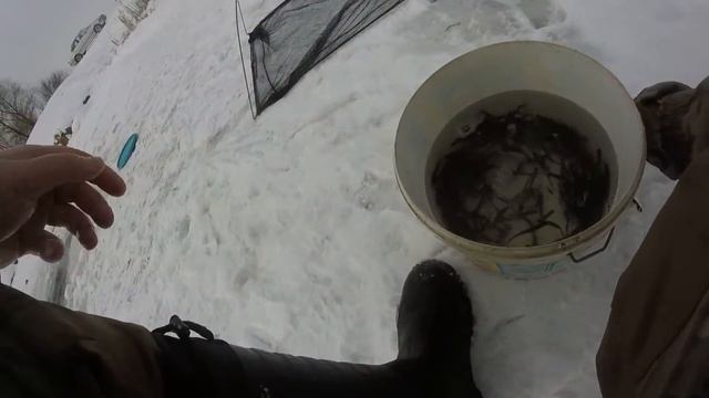 Как поймать малька(живца) зимой смотреть онлайн